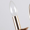Бра Favourite Plini 2591-2W
