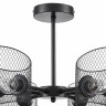 Потолочная люстра Lumion County Tidina 8238/6C