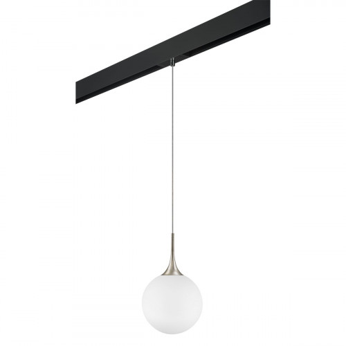 Комплект с трековым светильником Lightstar Globo (813033+595007) PRO813033
