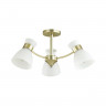 Потолочная люстра Lumion Comfi Wilma 4535/3C