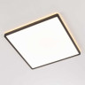Потолочный светодиодный светильник Citilux Norma CL748K401