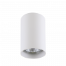 Потолочный светильник Lightstar Rullo 214436