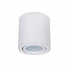 Потолочный светильник Arte Lamp Beid A1513PL-1WH