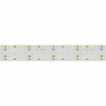 Светодиодная лента Arlight 25W/m 280LED/m 2835SMD теплый белый 2,5M 023403(2)