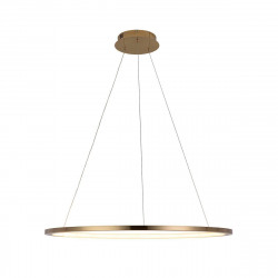 Подвесной светодиодный светильник Loft IT Ring 10014L