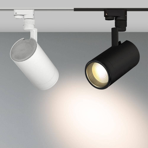 Трековый светодиодный светильник Arlight LGD-Zeus-2TR-R100-30W White6000 025951