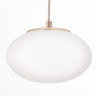 Подвесной светодиодный светильник Citilux Atman Smart CL226A053